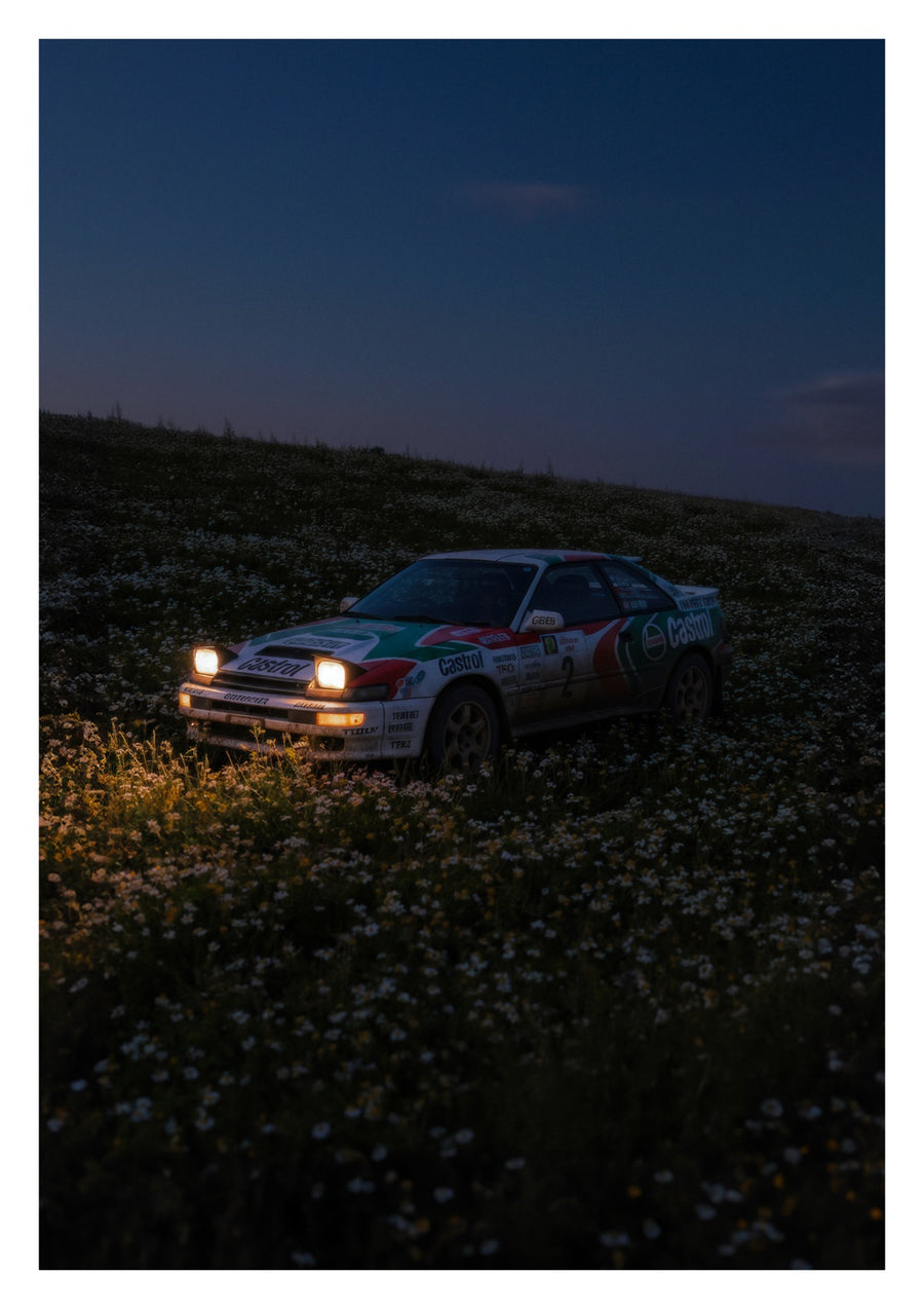 Rally Meadow, Dusk - Print Only frame