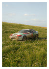 Rally Meadow, Afternoon print