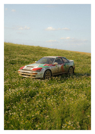 Rally Meadow, Afternoon print