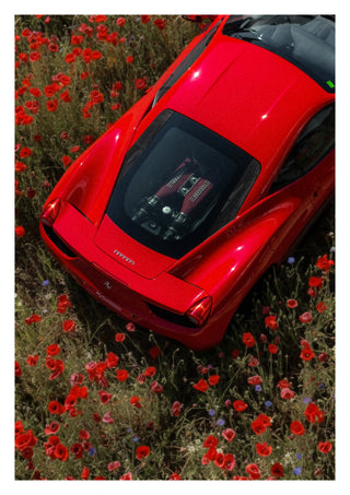 Amidst the Poppies print