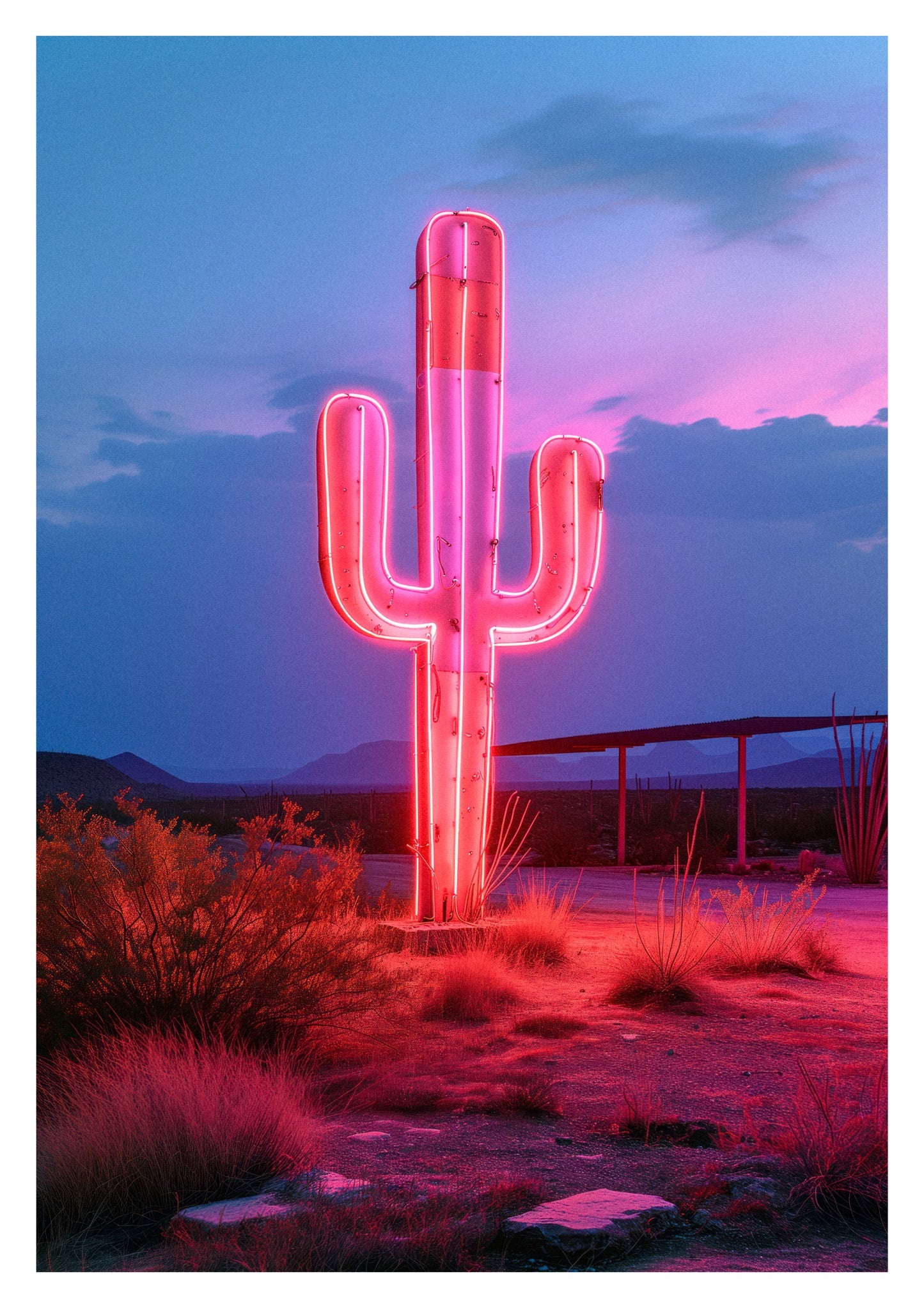 Leuchtender Kaktus