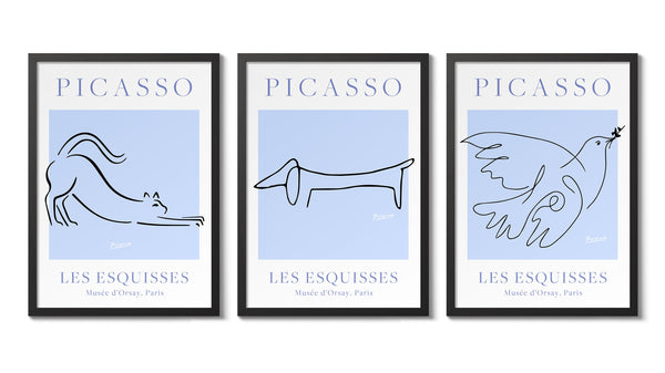 Picasso - Set of 3