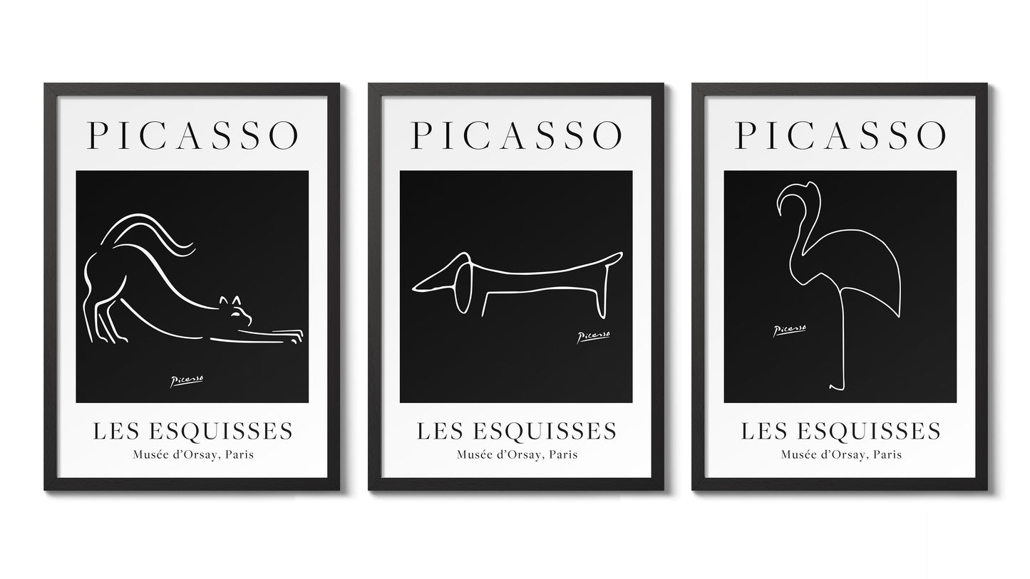 Picasso - Ensemble de 3