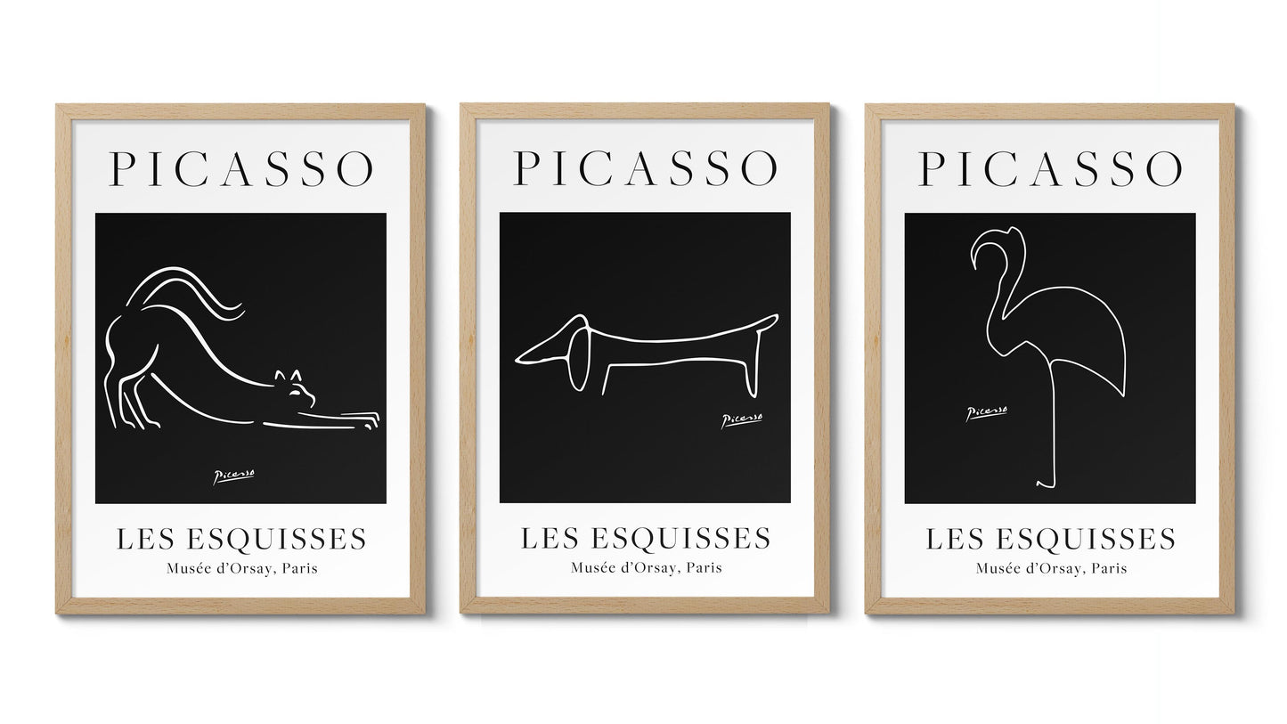 Picasso - Ensemble de 3