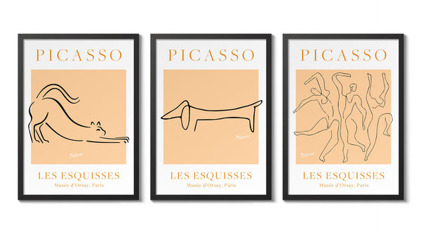 Picasso - Set of 3