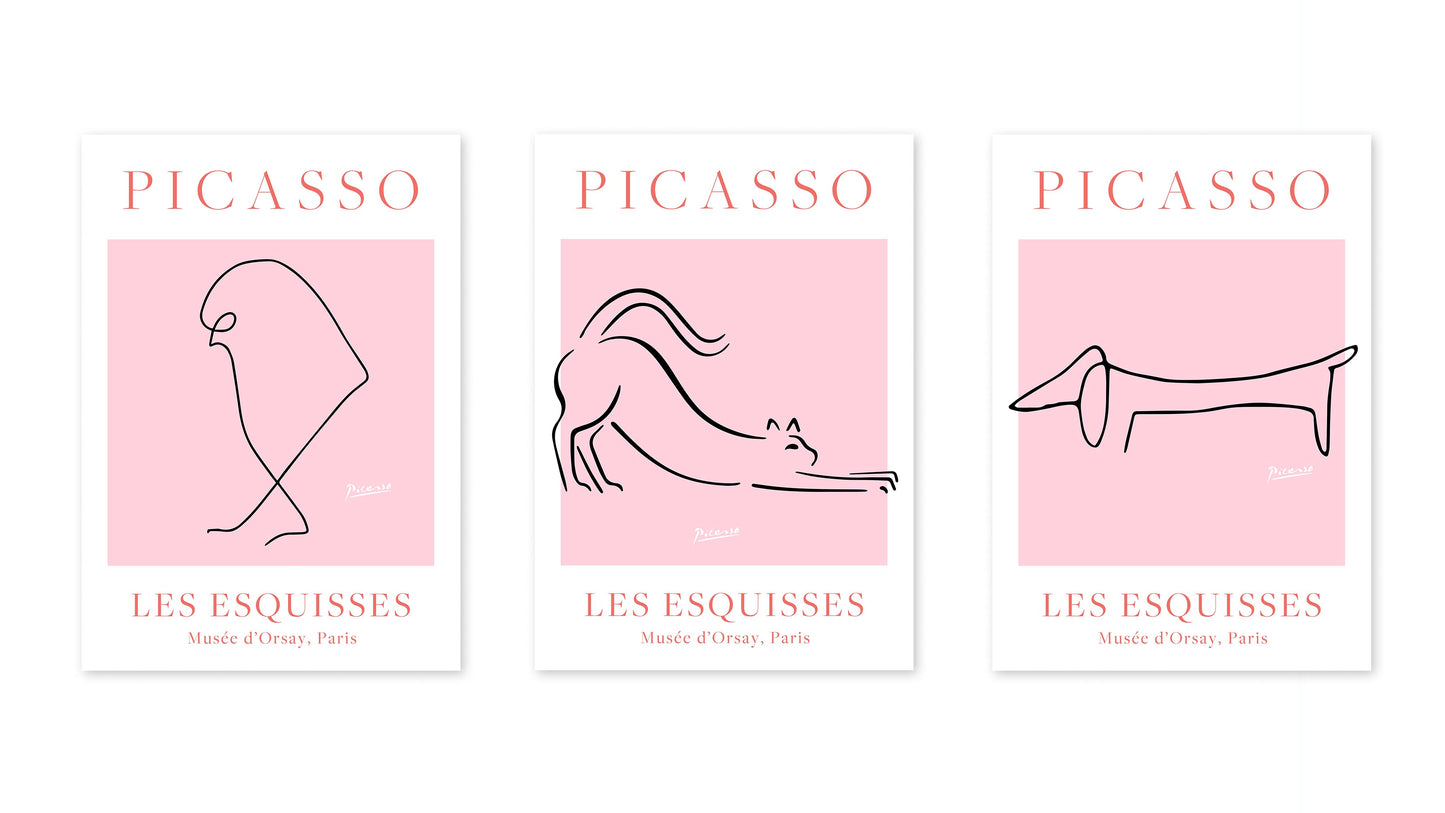 Picasso - Set of 3