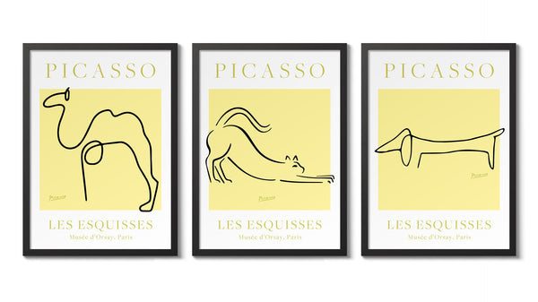 Picasso - Set of 3