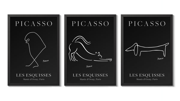 Picasso - Set of 3