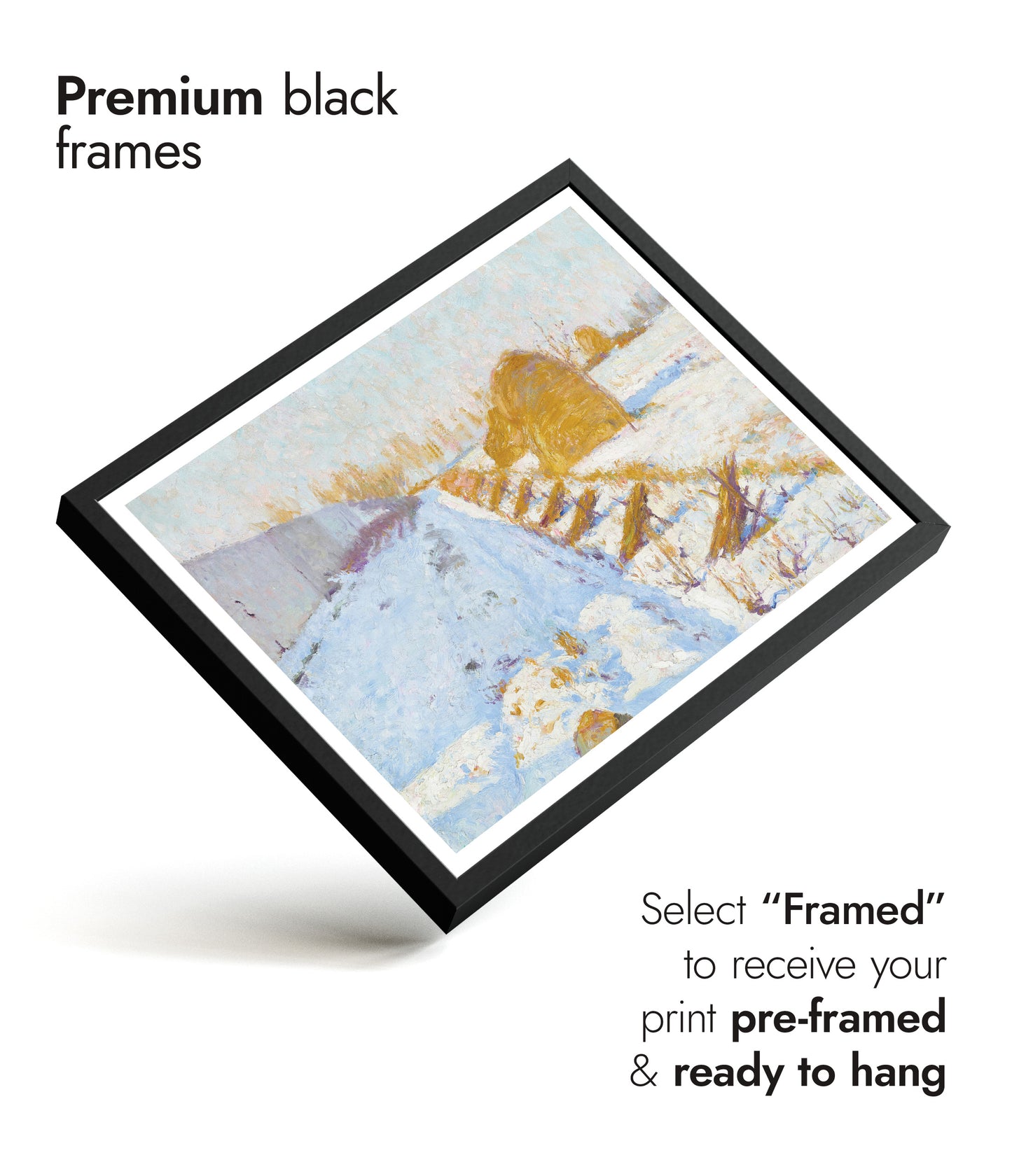 Winterzon en Schaduw