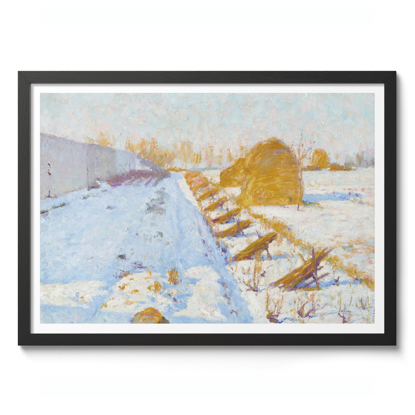 Winterzon en Schaduw