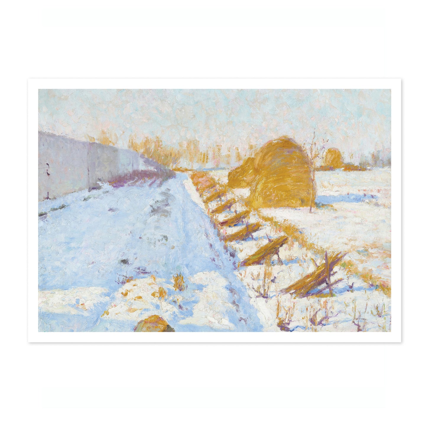 Winterzon en Schaduw