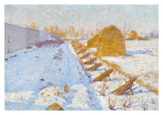 Winterzon en Schaduw print