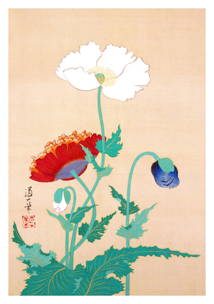 Mohnblumen - Print Only frame