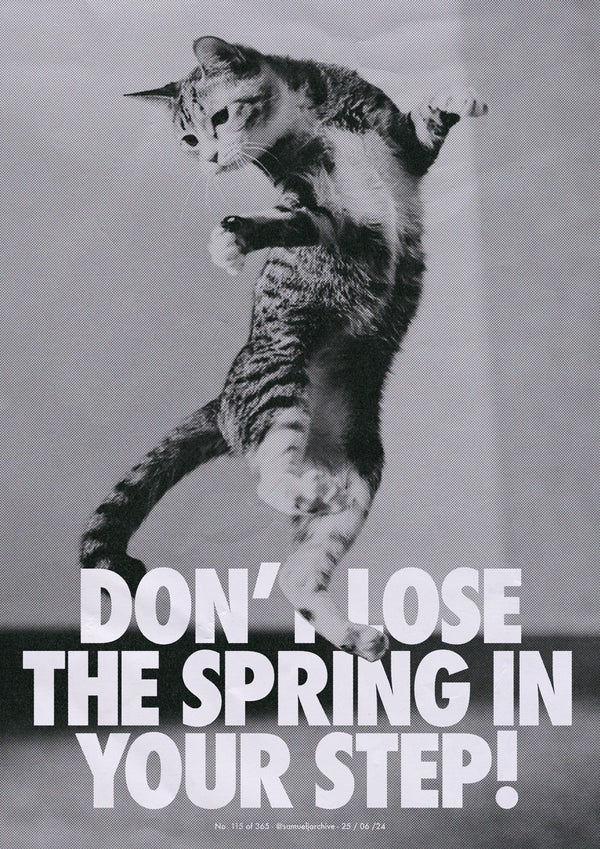 Cat Jump