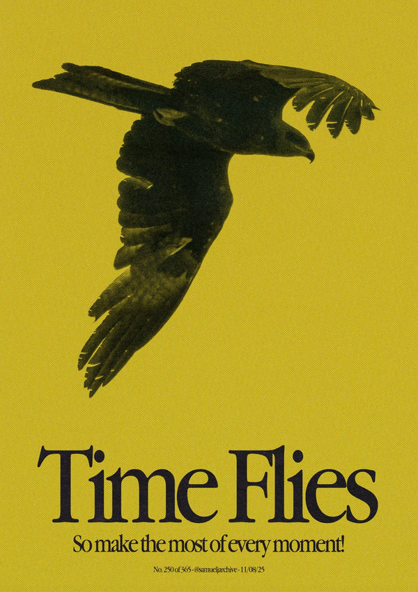 Time Flies