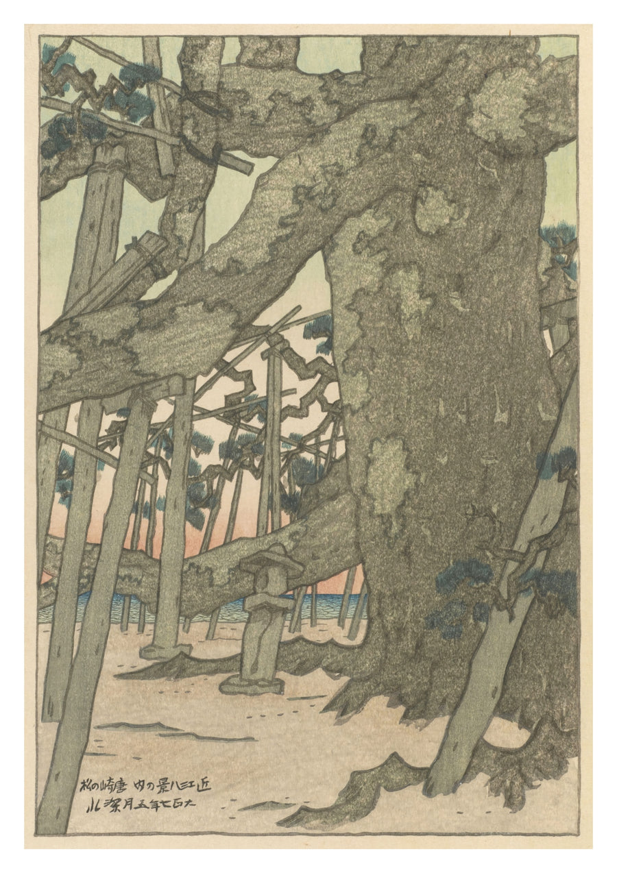 Pine trees at Karasaki - Print Only frame