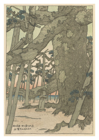 Kiefern in Karasaki print