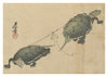 Tug-of-War Turtles print