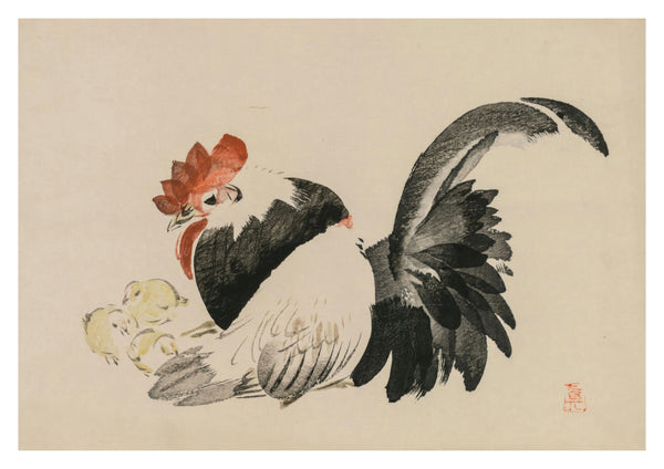 Haan, Hen & Kuikens