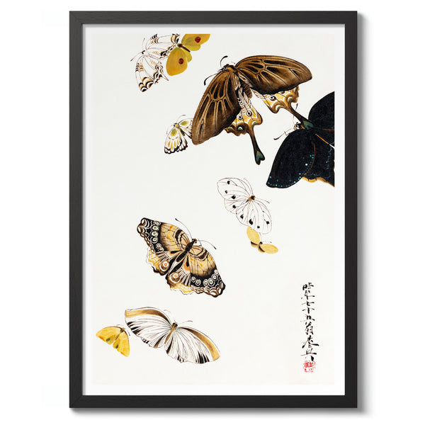 Butterflies