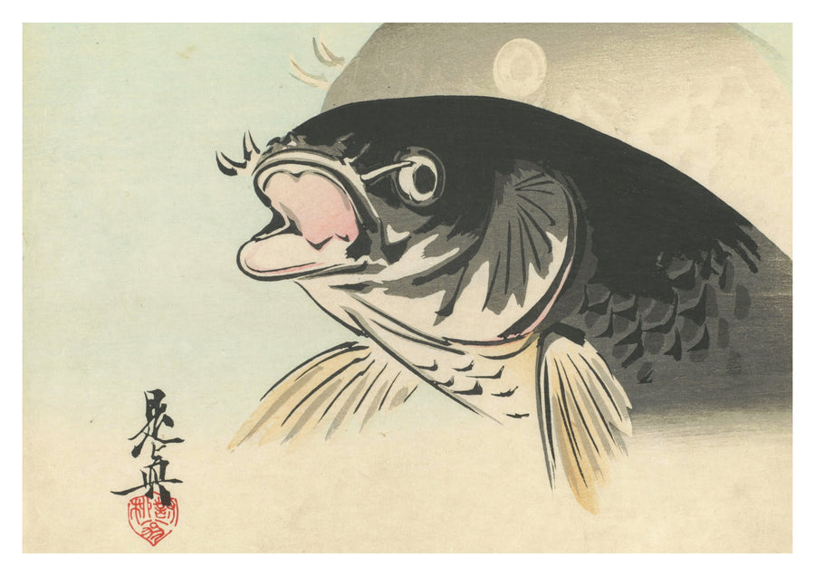 Carp - Print Only frame