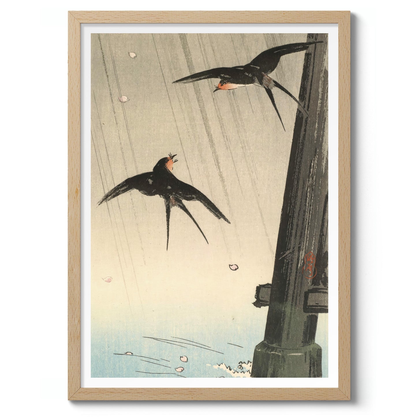 Swallows