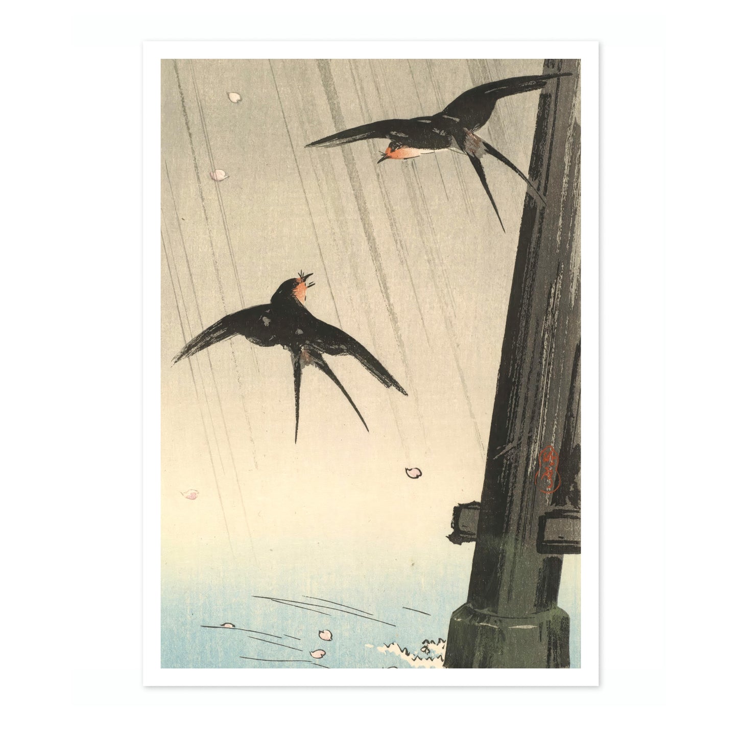 Swallows