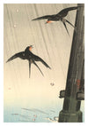 Swallows print