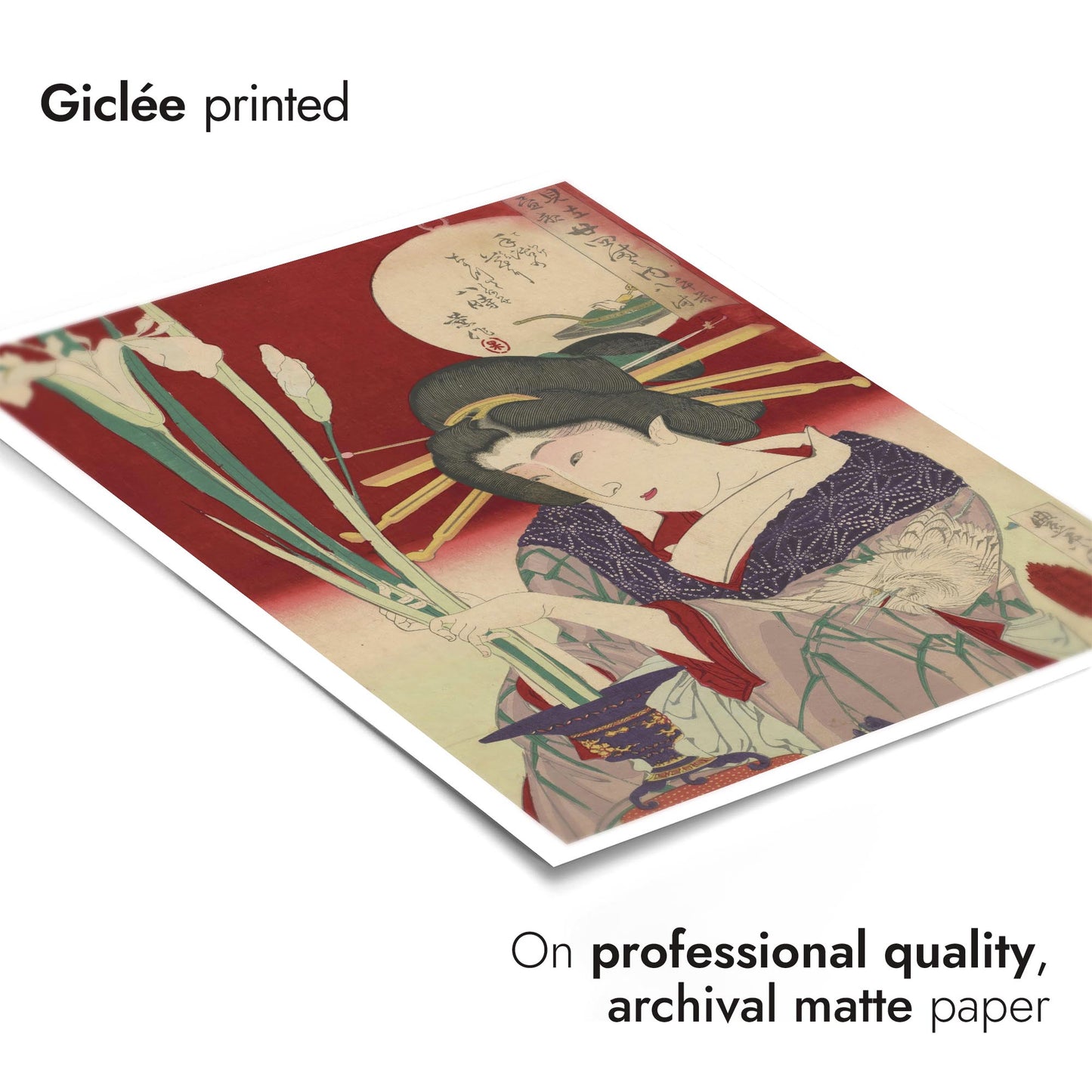 Beauté arrangée des iris