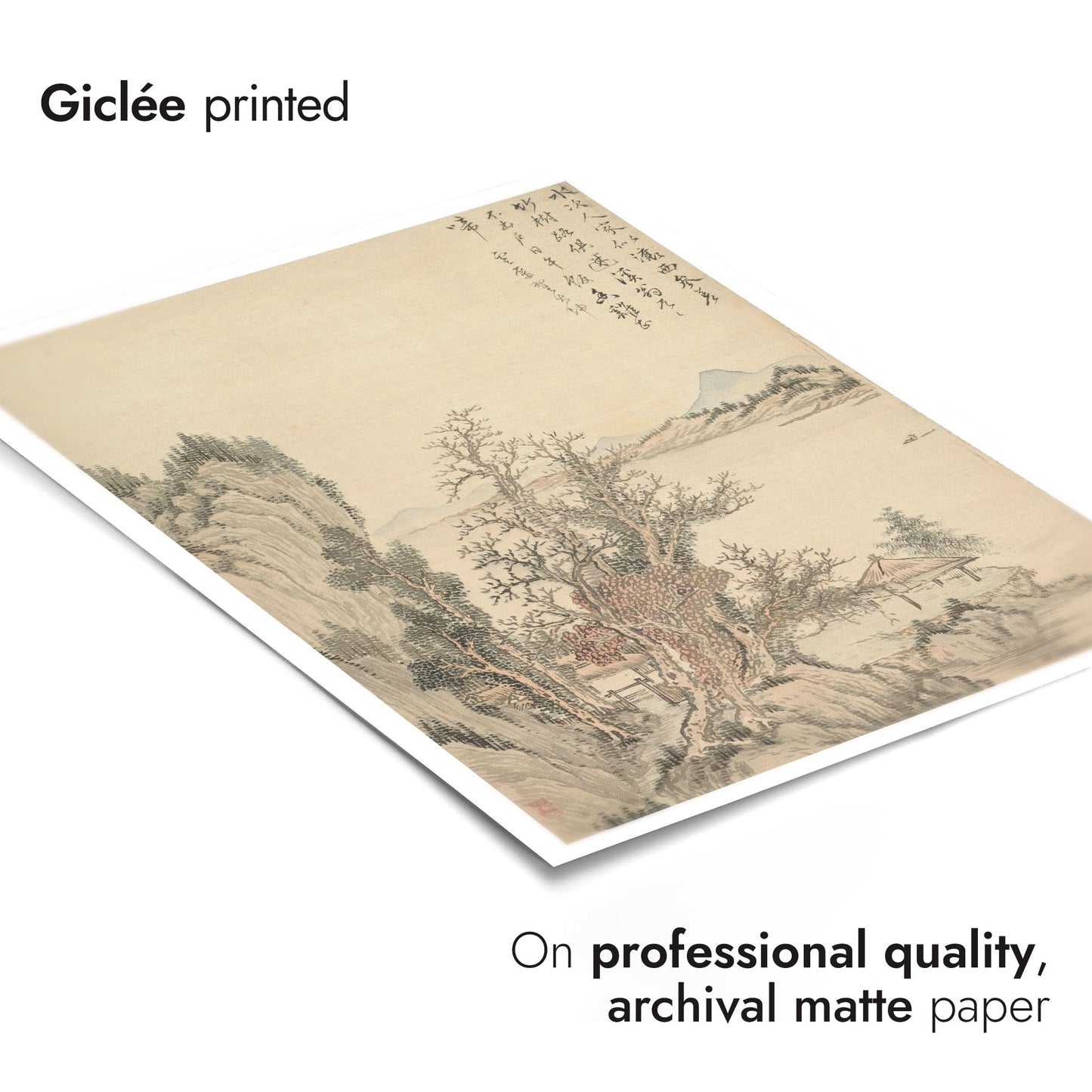 Dwelling by the Shore