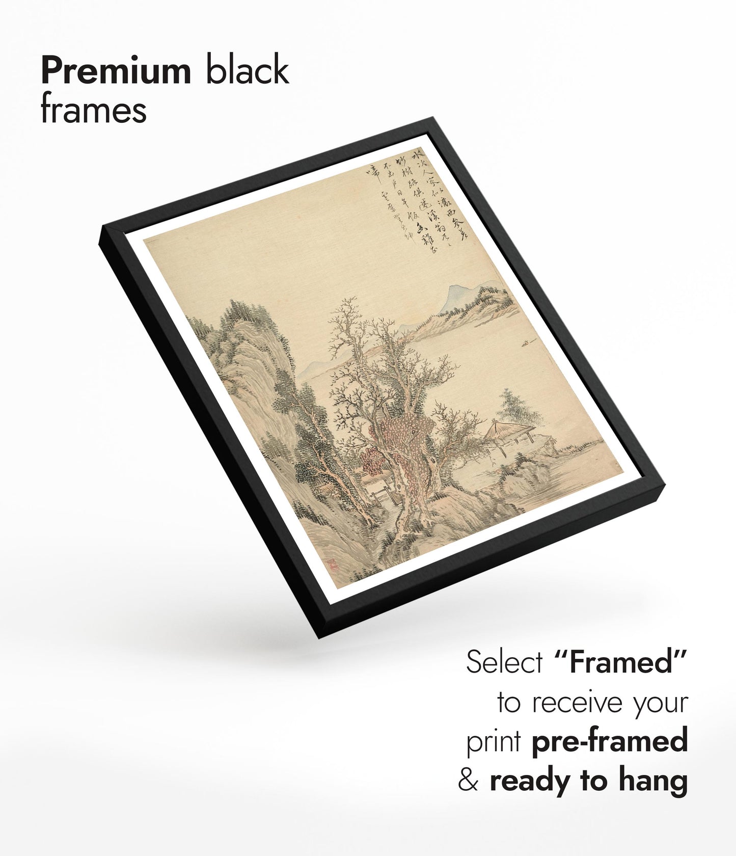 Dwelling by the Shore