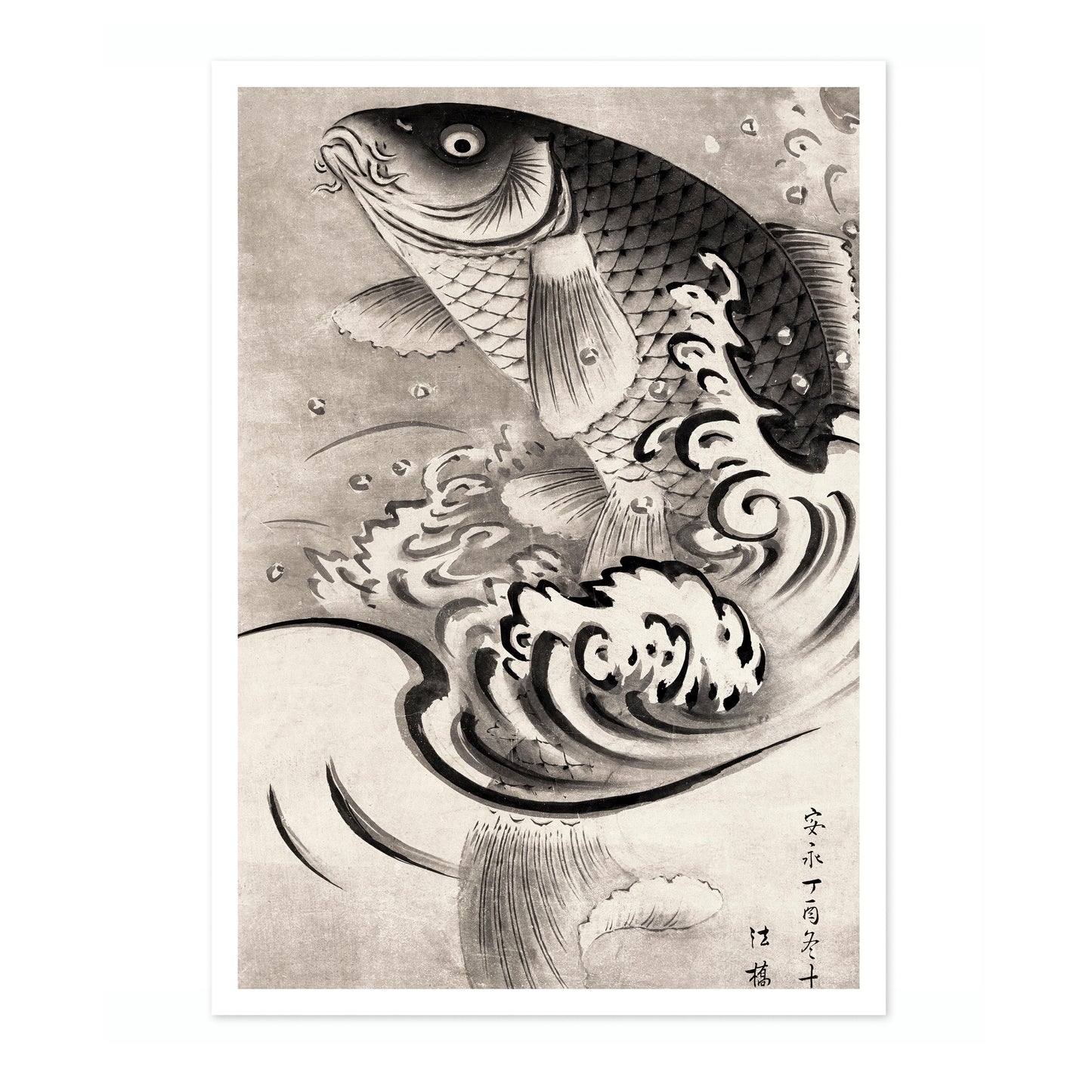 Carping Leaping Out of Water