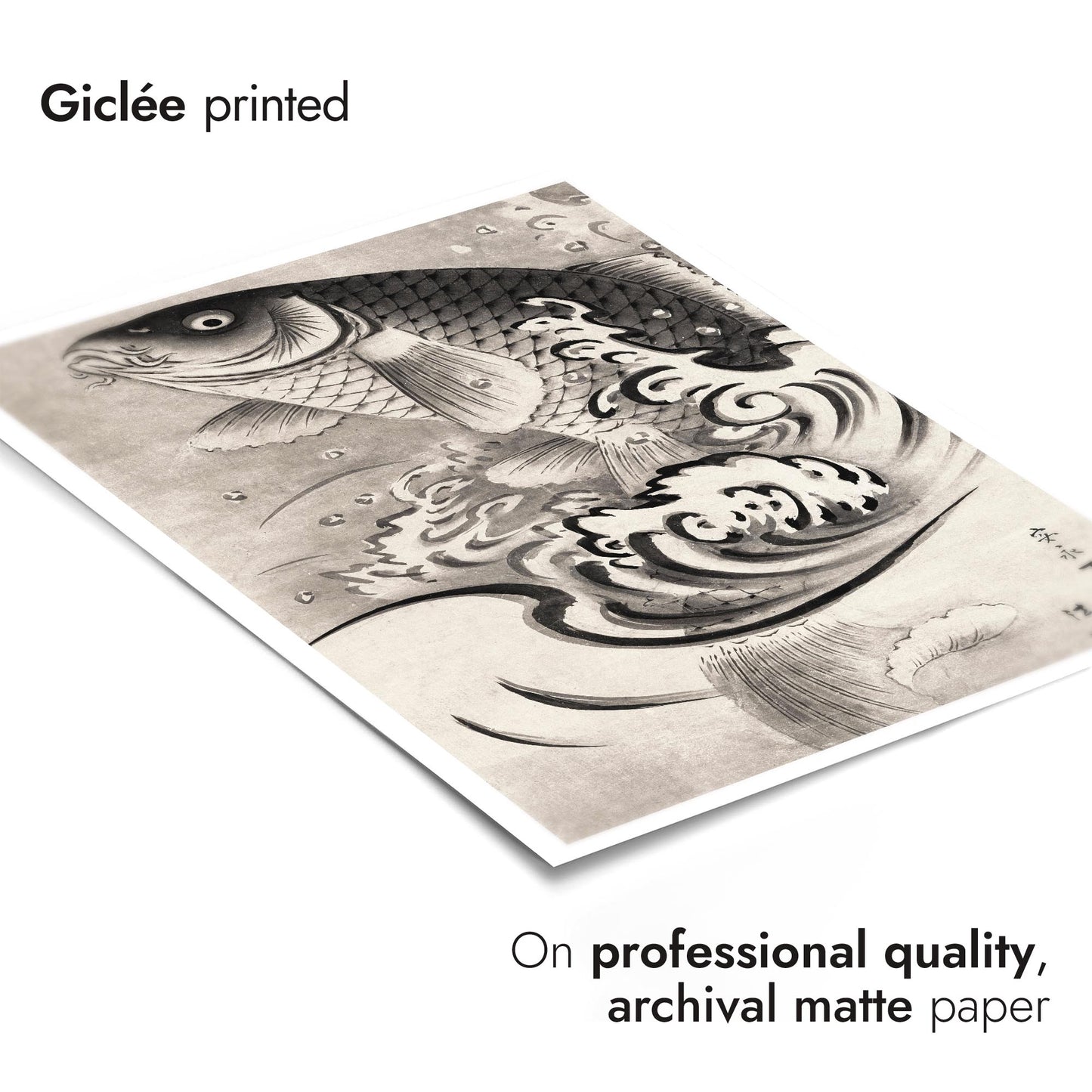 Carping Leaping Out of Water