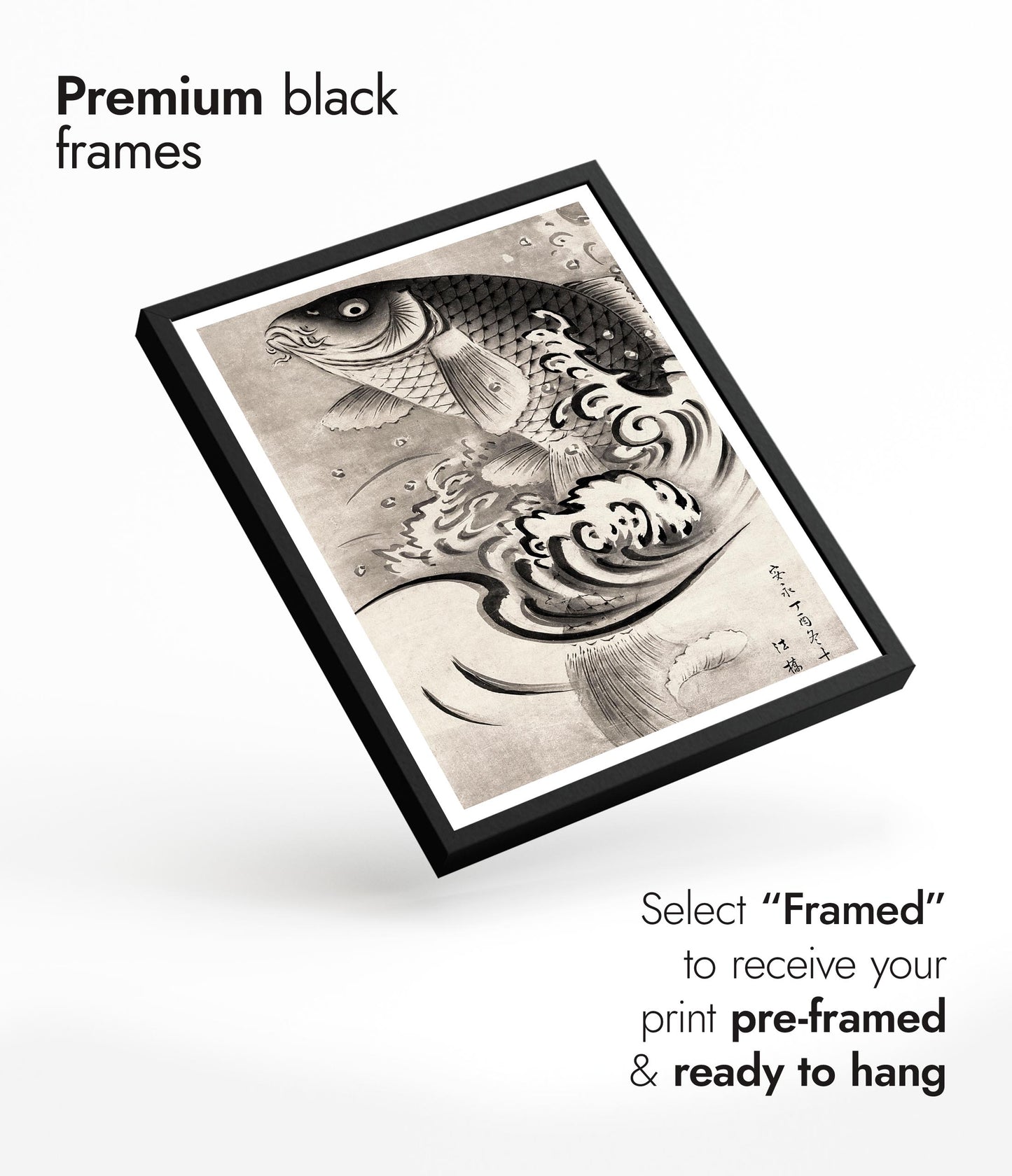 Carping Leaping Out of Water