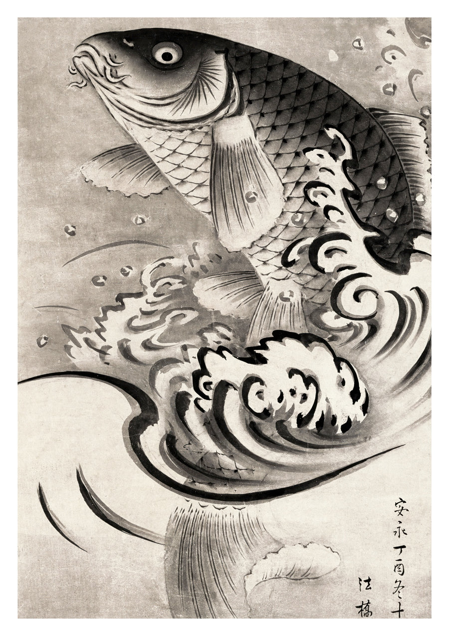 Karpfen, der aus dem Wasser springt - Print Only frame