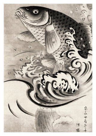 Carping Leaping Out of Water print