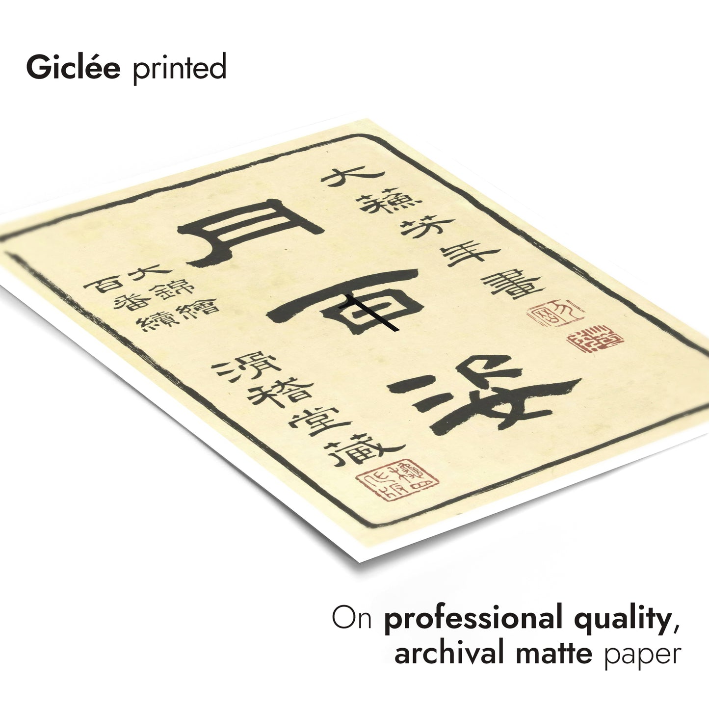 Titelseite von Hundert Aspekten des Mondes