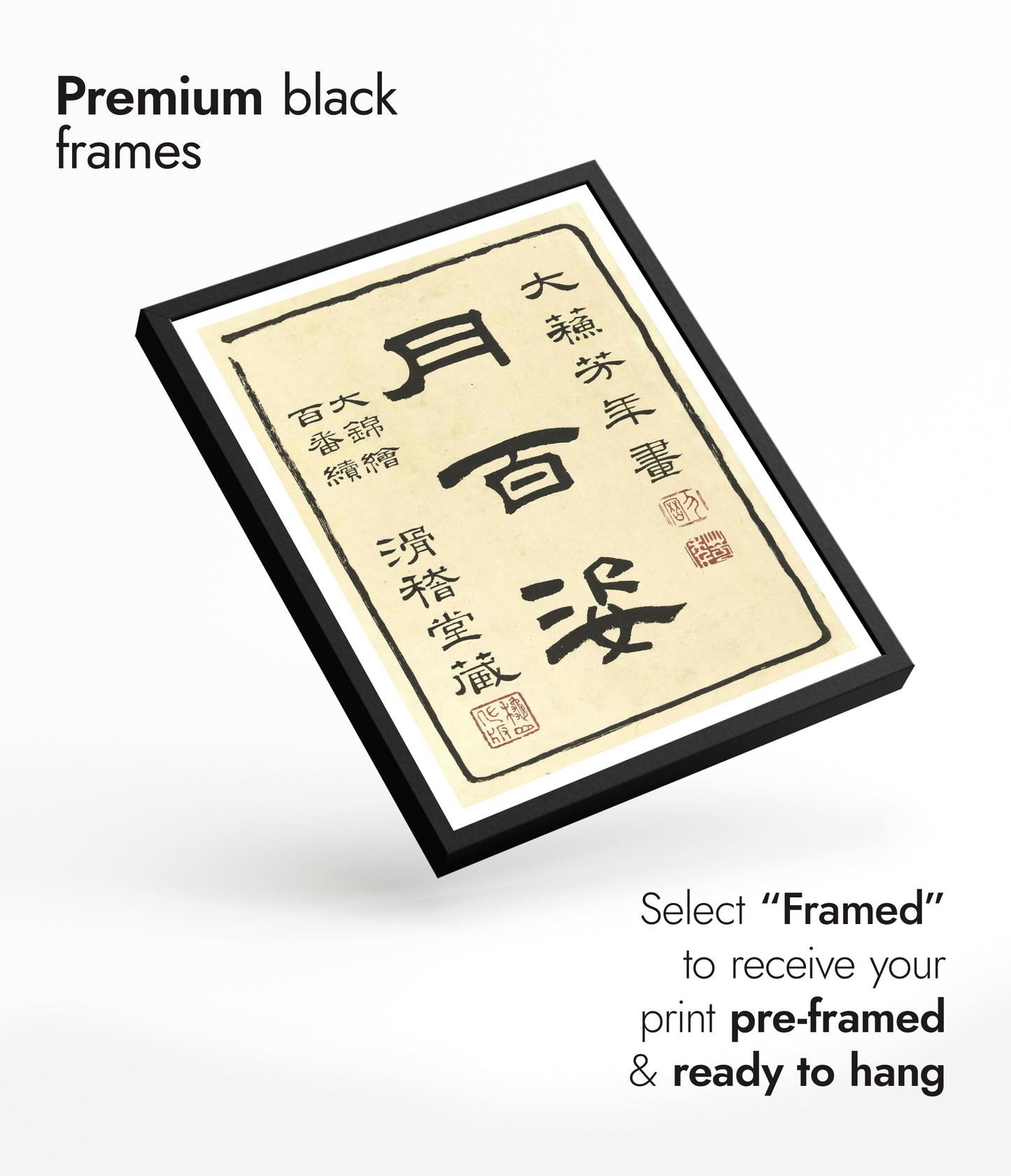 Titelseite von Hundert Aspekten des Mondes