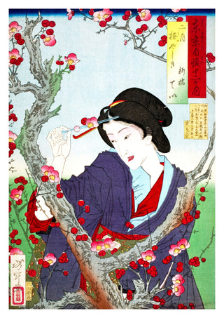 Tei van Shinbashi door een pruimenboom in Umeyashiki print