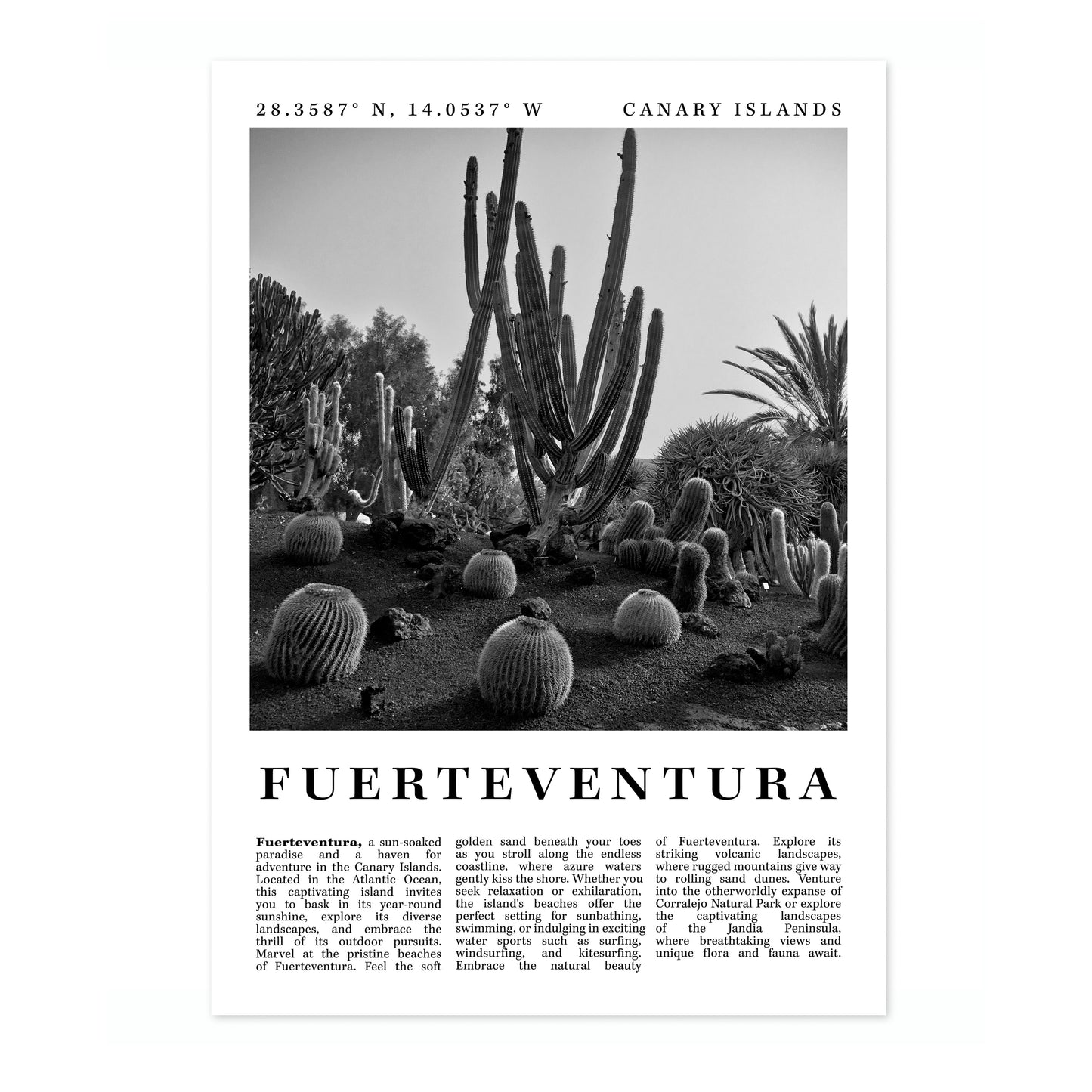 Fuerteventura - Spanien