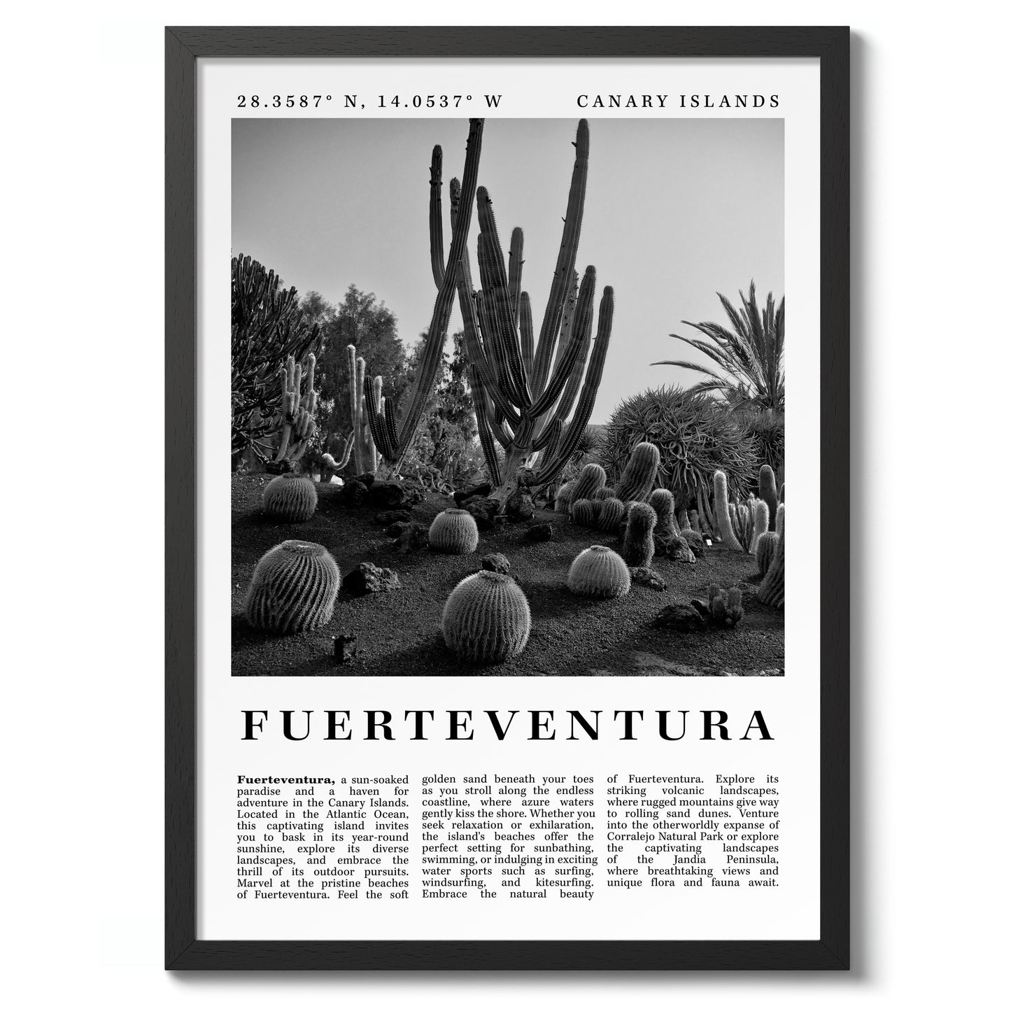 Fuerteventura - Spanien
