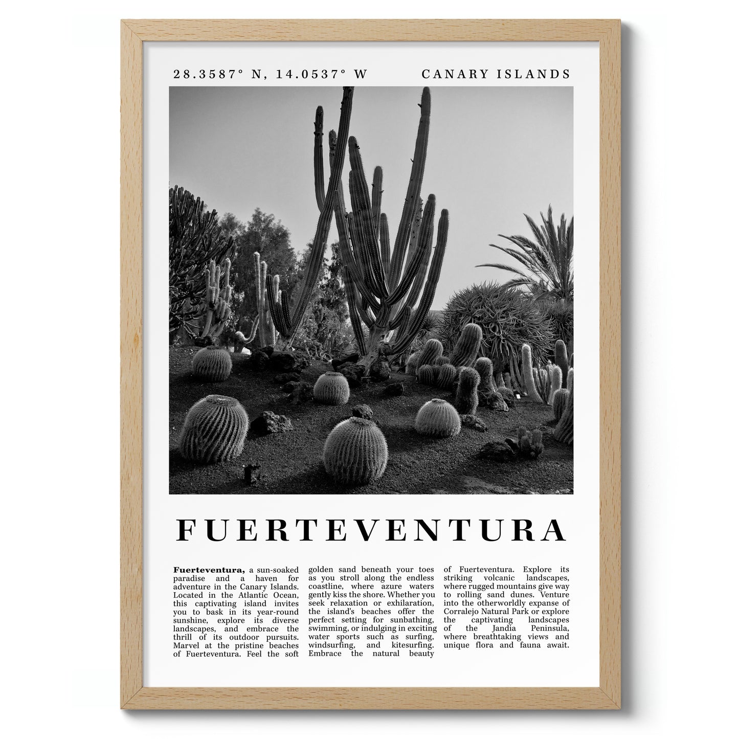 Fuerteventura - Spanien