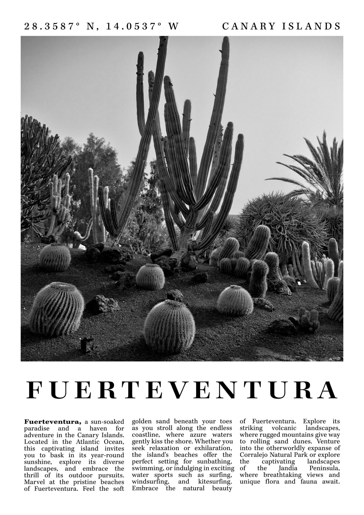 Fuerteventura - Spanien