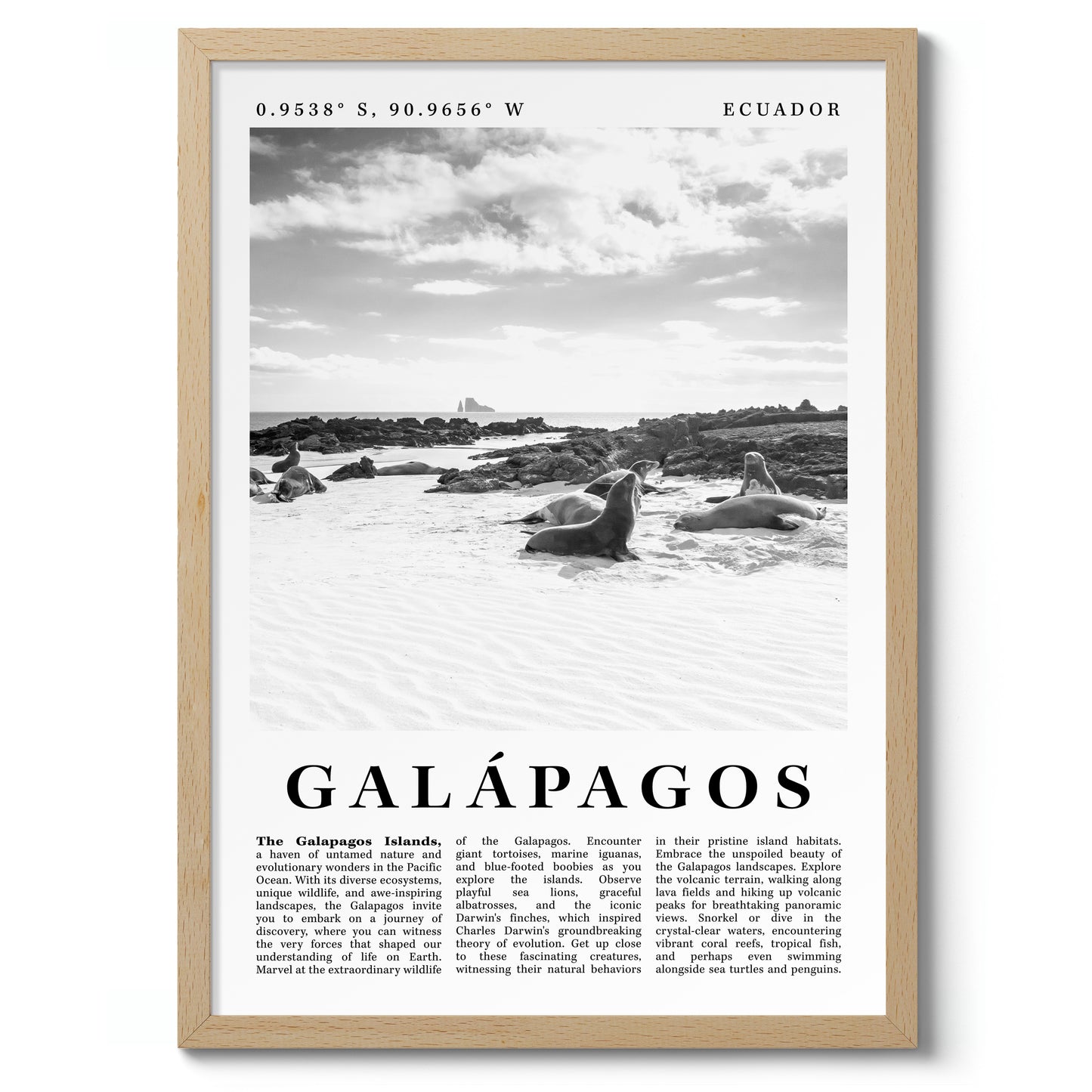 Galápagos - Ecuador