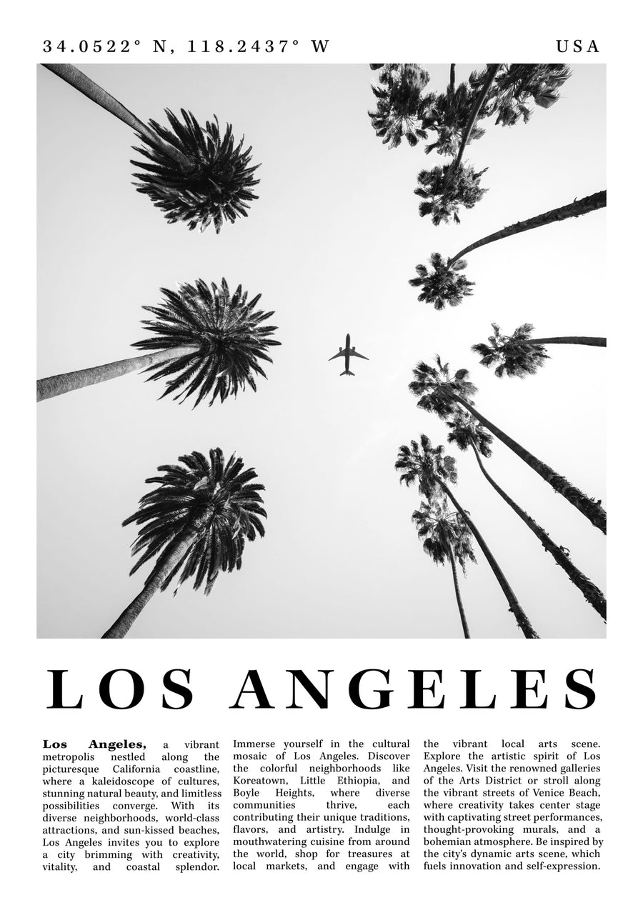 Los Angeles - USA - Print Only frame