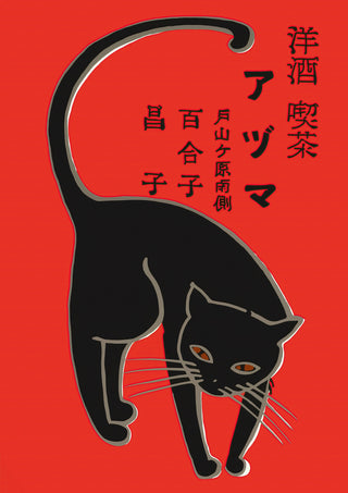 Svart katt tändsticksask print