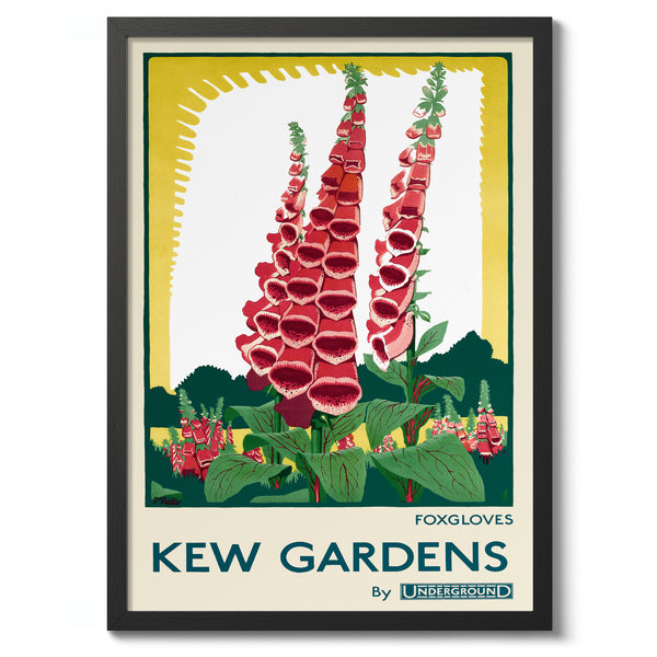 Kew Gardens, Foxgloves