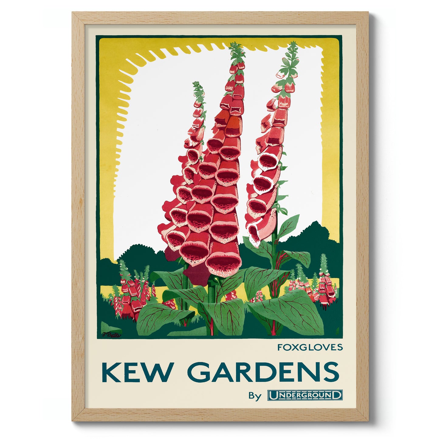 Kew Gardens, Foxgloves