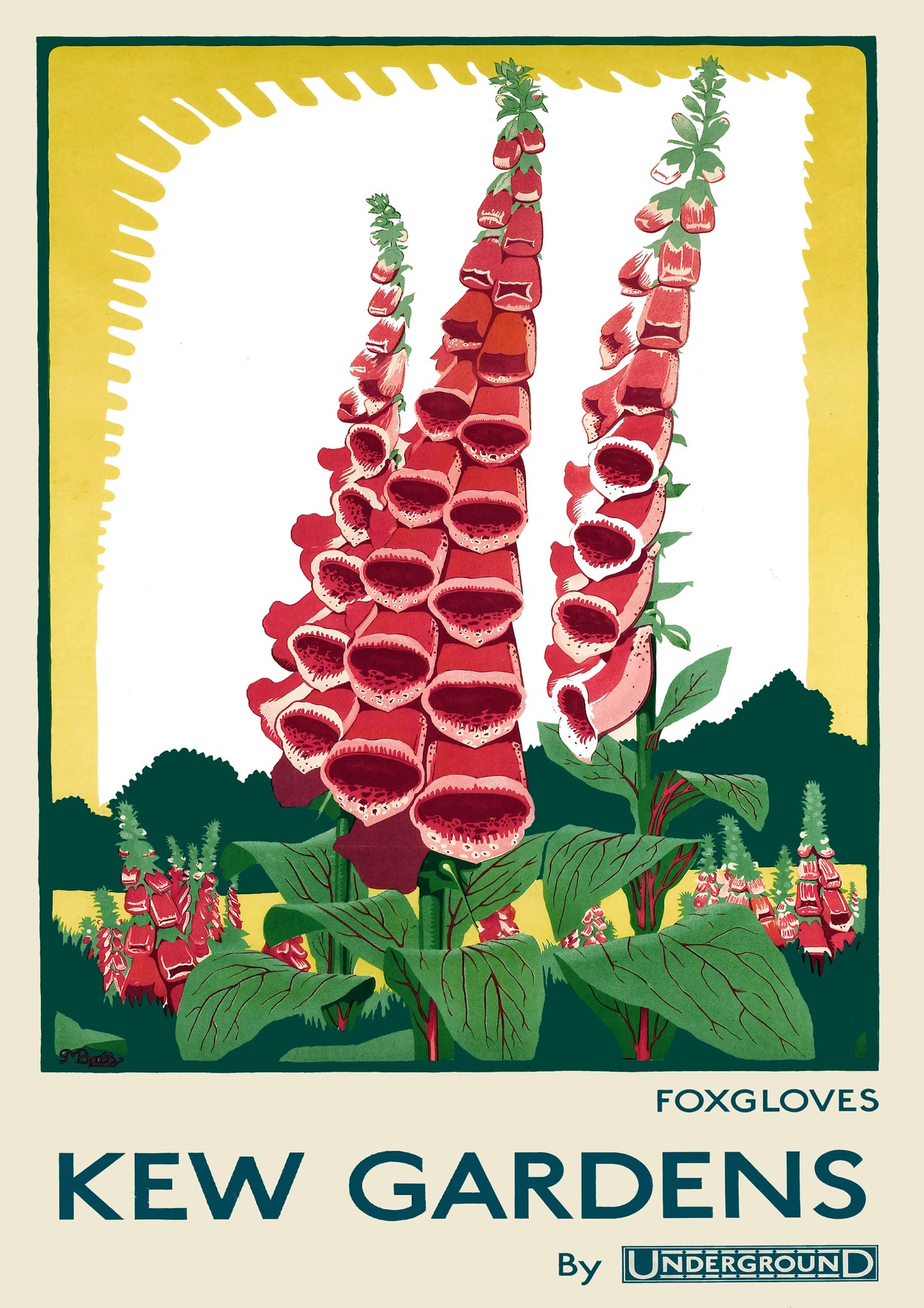 Kew Gardens, Foxgloves