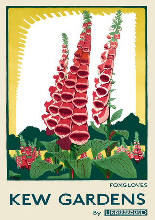 Kew Gardens, Foxgloves print